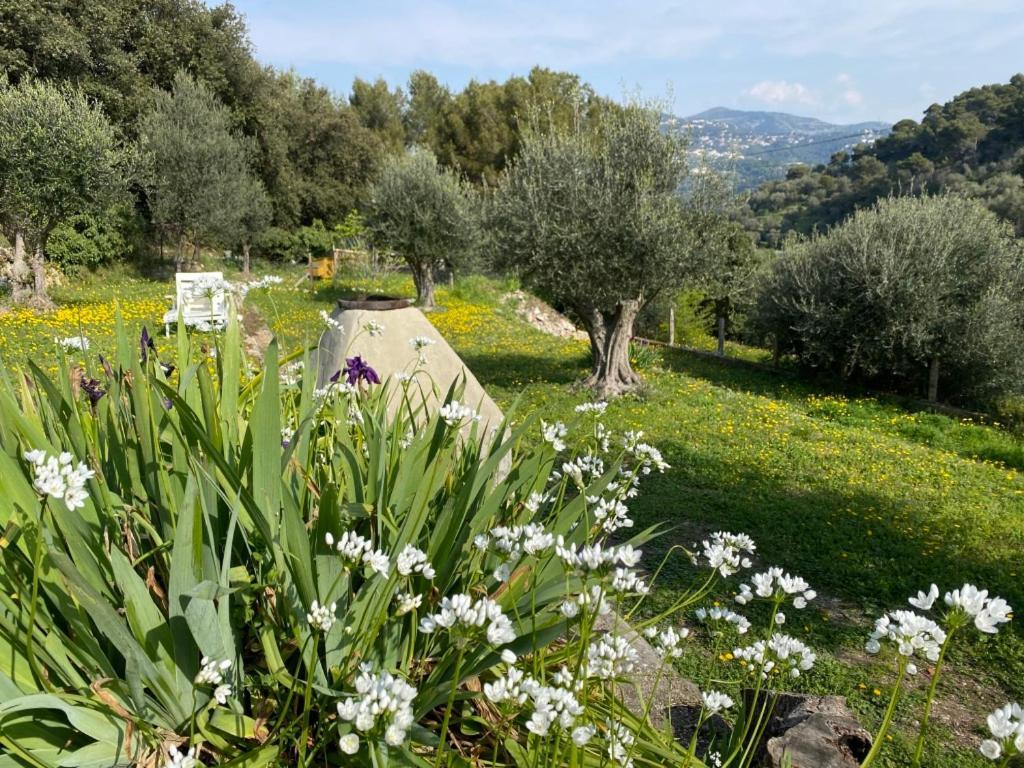 Apartment Breathe Guest-house Nizza
